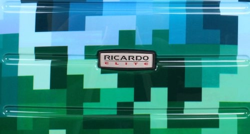 Чемодан Ricardo Roxbury большой L поликарбонат с рисунком 037-29-997-4VP купить цена 22780.00 ₽