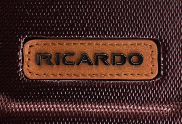 Чемодан Ricardo Cabrillo 2.0 Hardside маленький S поликарбонат USB бордовый 146-19-633-4WB купить цена 36900.00 ₽