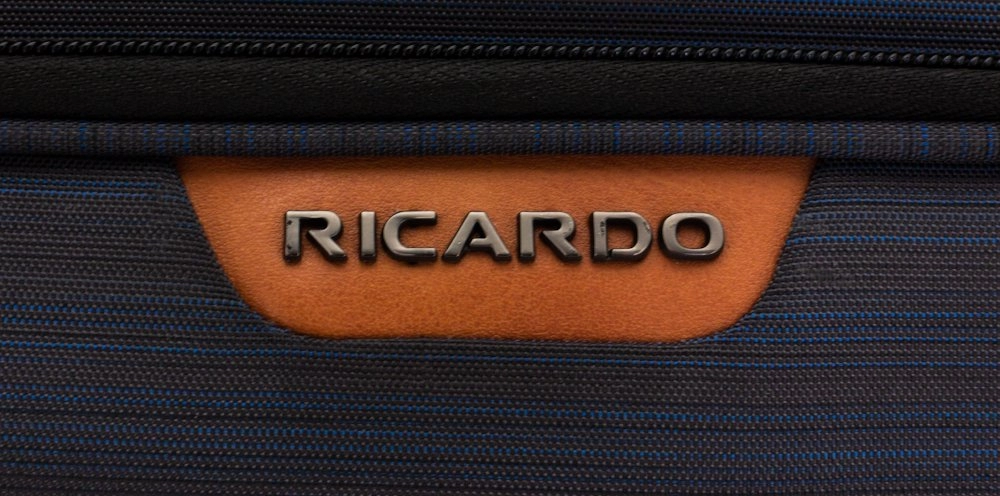 Чемодан Ricardo Cabrillo 2.0 Softside средний М полиэстер серый 145-25-020-4NE купить цена 24570.00 ₽
