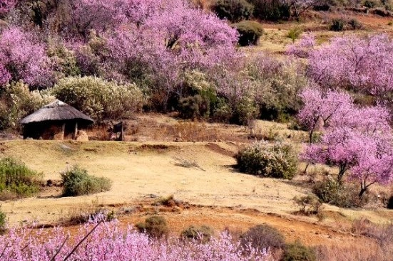 Активный отдых в Лесото, Африка